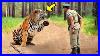 Tiger Begs Soldier For Help But The Reason Behind It Surprised Everyone